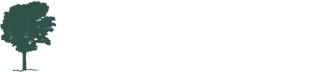 Solotex Logo